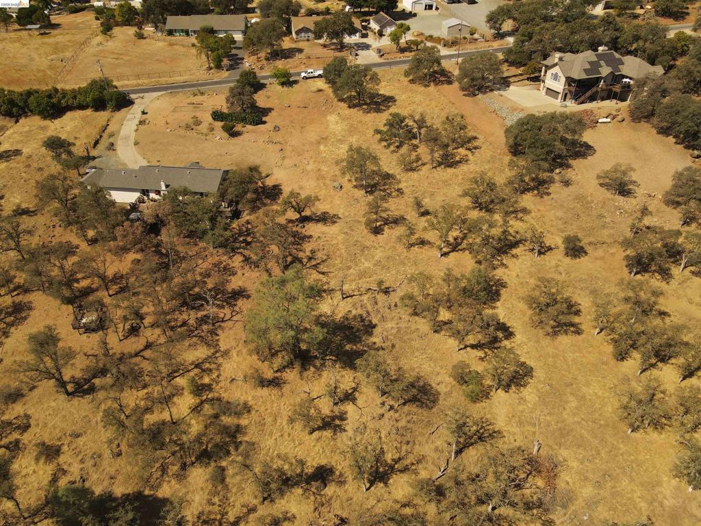 6647 Cane Lane Property Photo 5