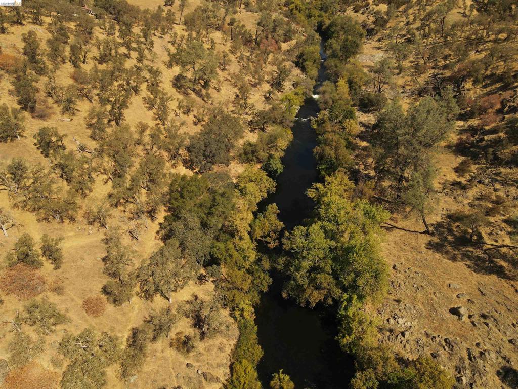 6647 Cane Lane Property Photo 7