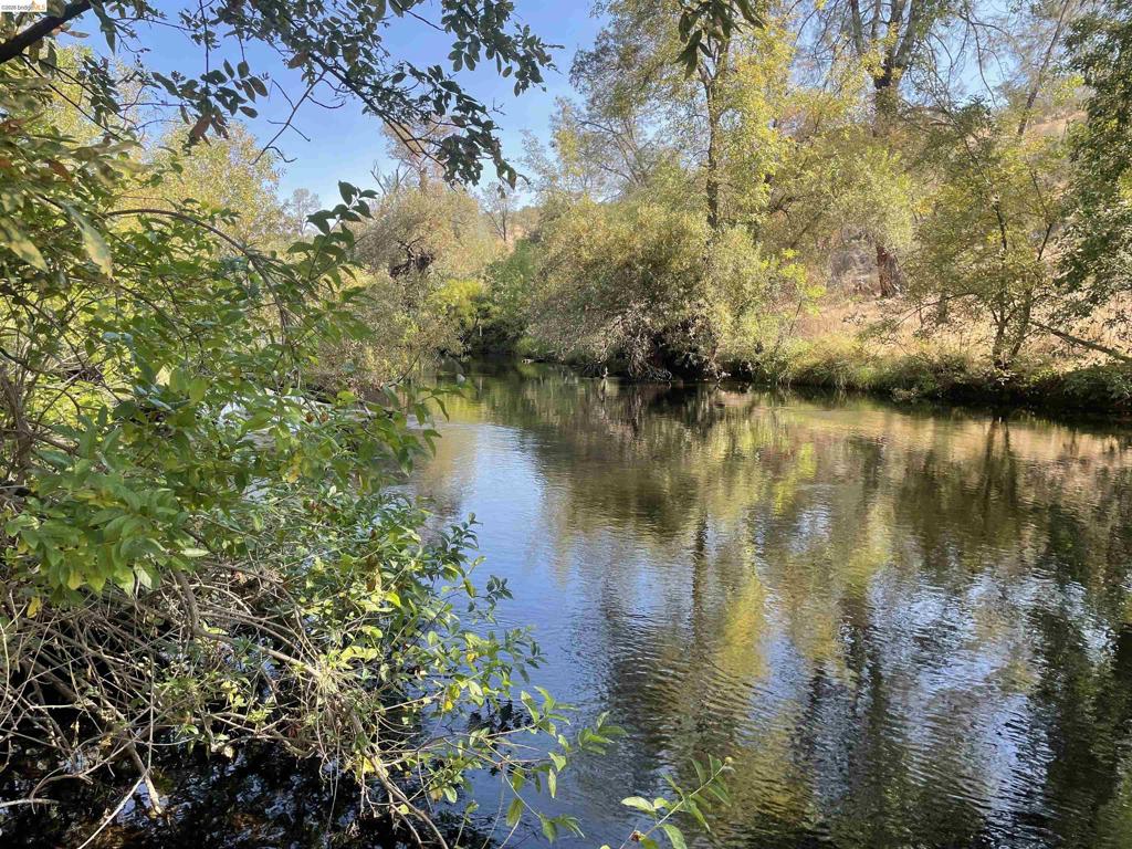 6647 Cane Lane Property Photo 32