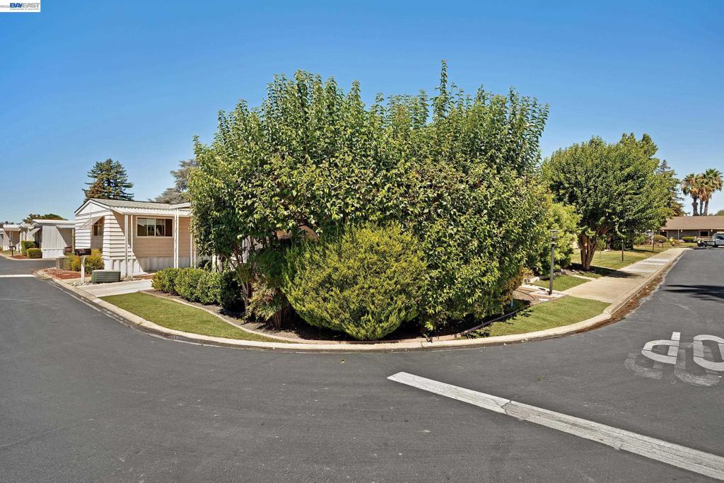 2061 Dalis Drive Property Photo 27