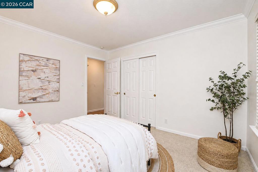 5179 Alhambra Valley Rd Property Photo 21