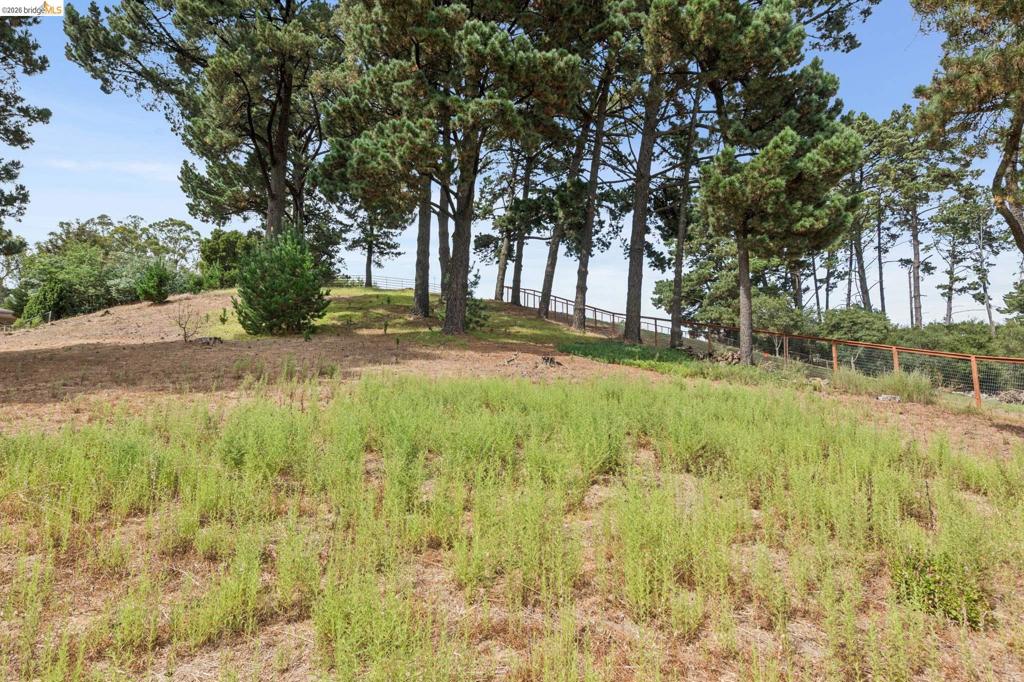 13474 Skyline Blvd Property Photo 56