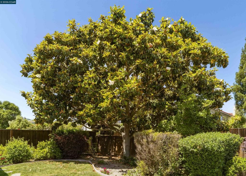 3237 Vera Cruz Dr Property Photo 53