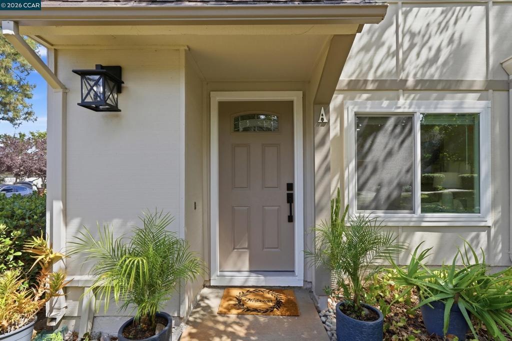 1571 Schenone Ct A Property Photo 4