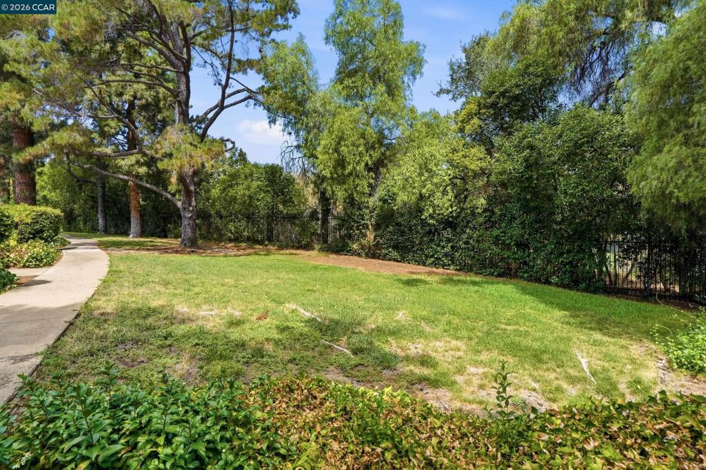 1571 Schenone Ct A Property Photo 45