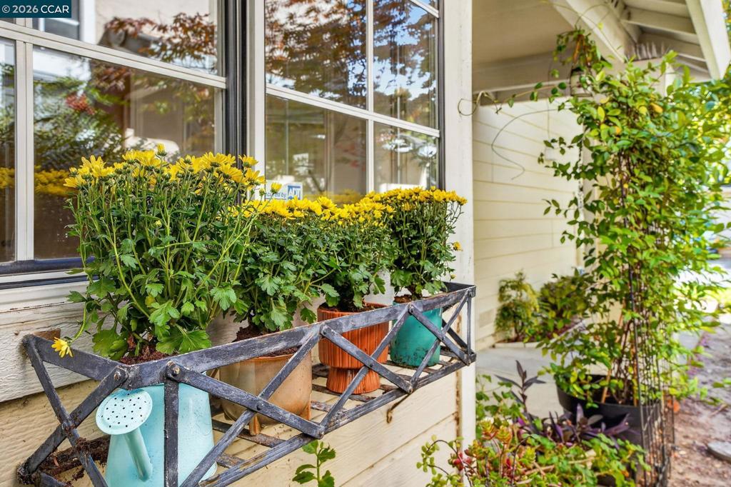 1035 Pinehurst Ct Property Photo 6