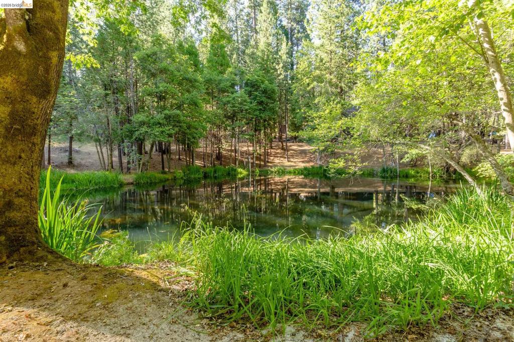 22460 Longeway Rd Property Photo 50