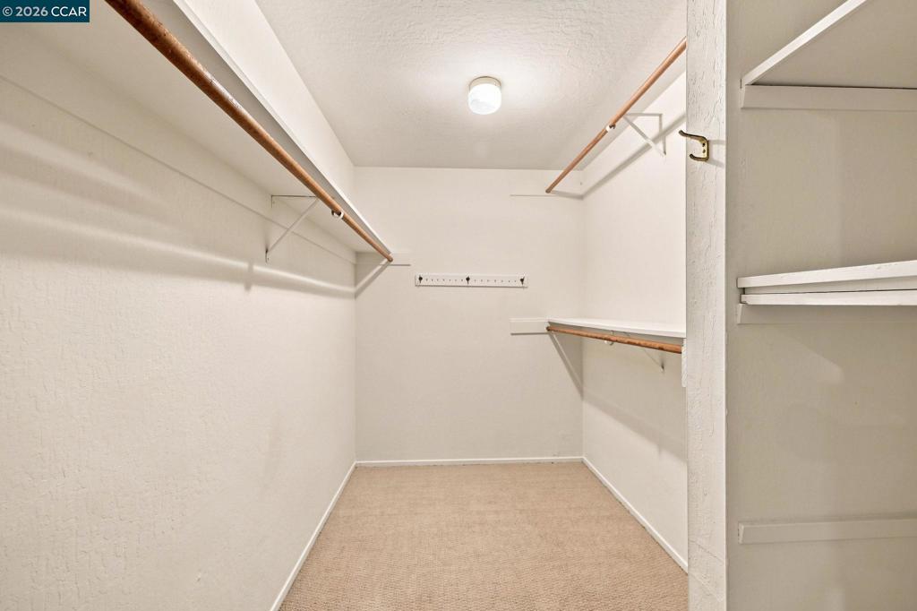 2516 Roundhill Dr Property Photo 19