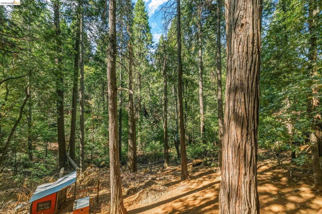 16947 E Brookside Dr. Property Photo 34
