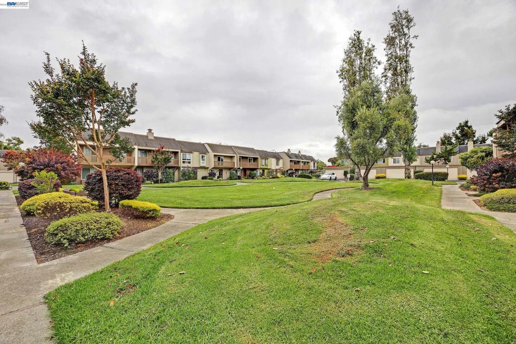 3122 La Cresta Property Photo 3