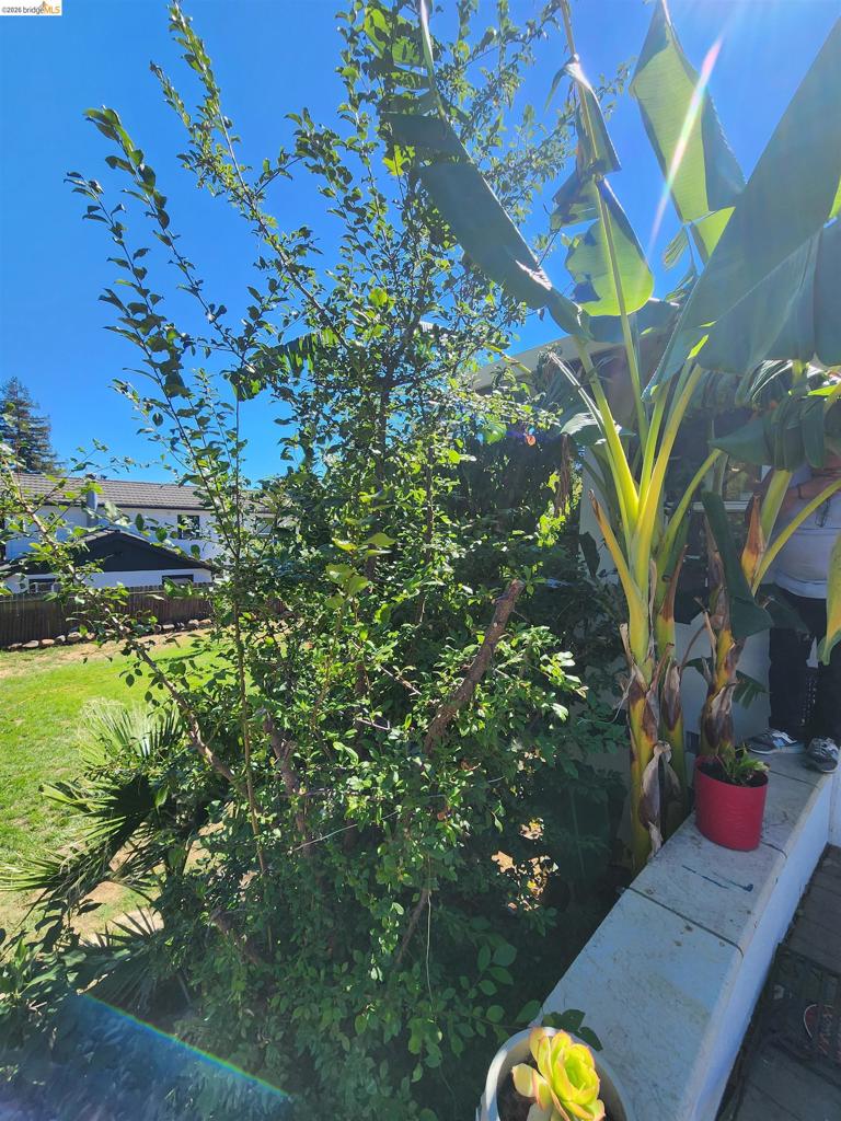 21 Monte Vista Ave Property Photo 27