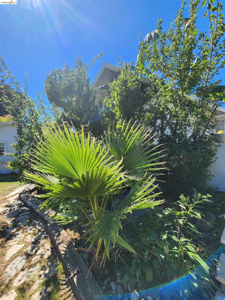 21 Monte Vista Ave Property Photo 28