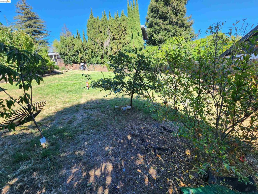 21 Monte Vista Ave Property Photo 29