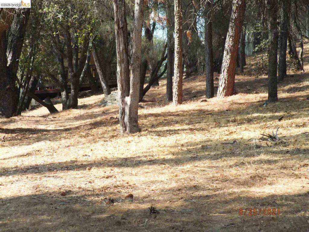 20650 Crescent Way Property Photo 3