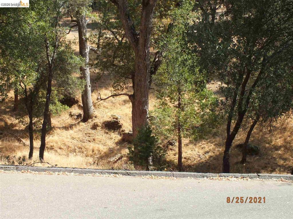 20650 Crescent Way Property Photo 4