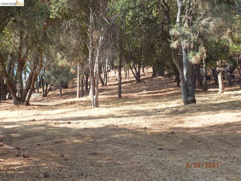 20650 Crescent Way Property Photo 5