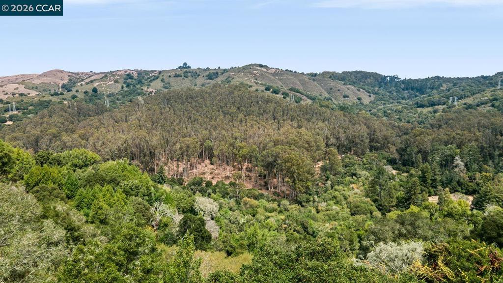281 Los Altos Dr Property Photo 49