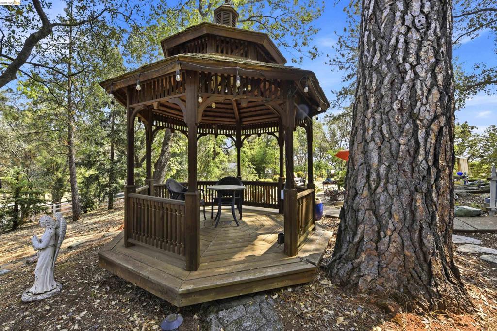 2360 Secret Ravine Trail Property Photo 40