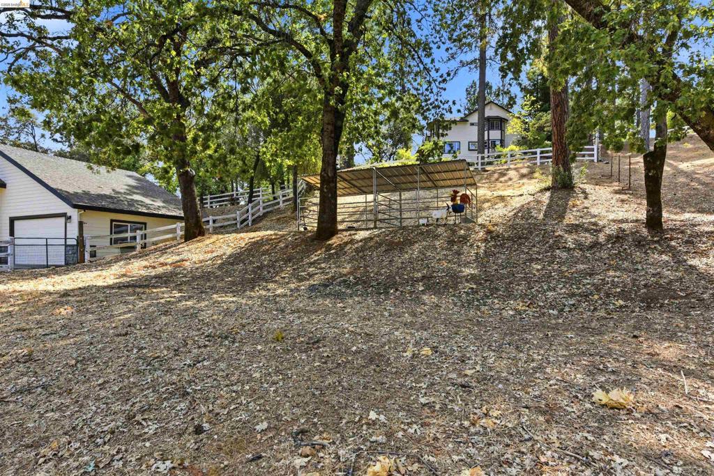 2360 Secret Ravine Trail Property Photo 46