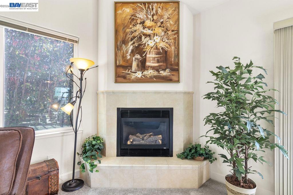 1105 Paradise Peak Rd Property Photo 11