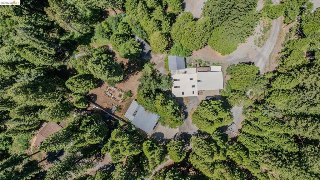 2495 Hangtree Trail Property Photo 8