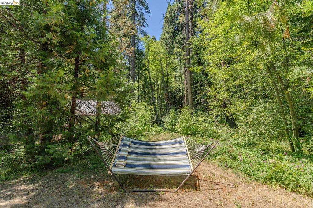2495 Hangtree Trail Property Photo 11