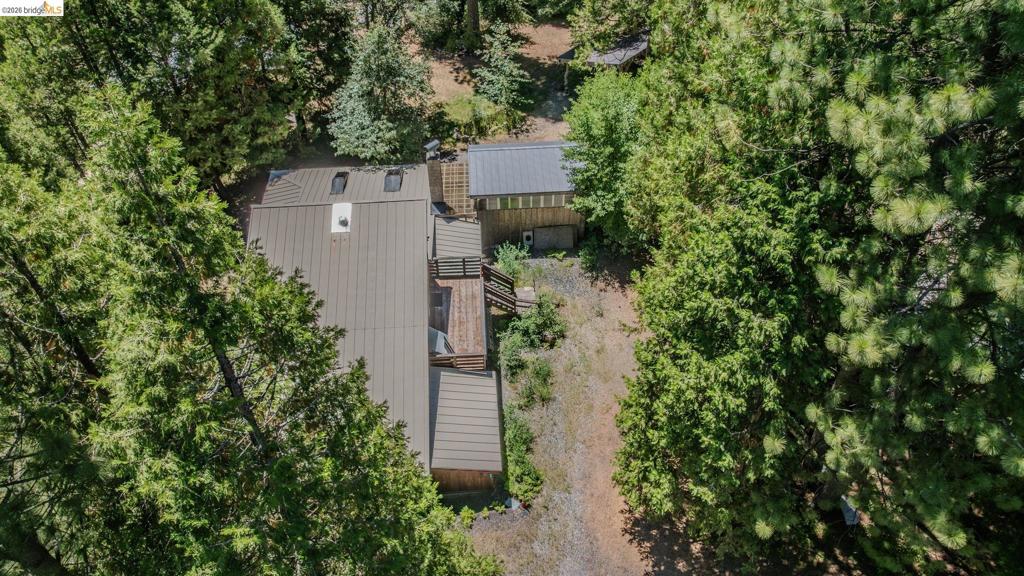 2495 Hangtree Trail Property Photo 49
