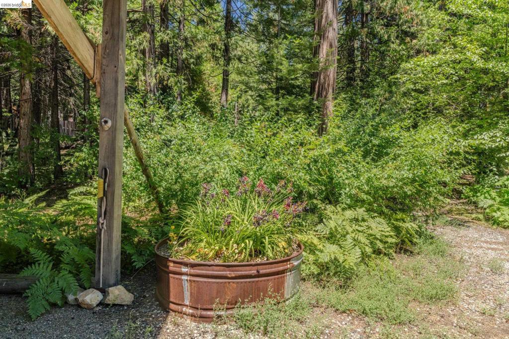 2495 Hangtree Trail Property Photo 50