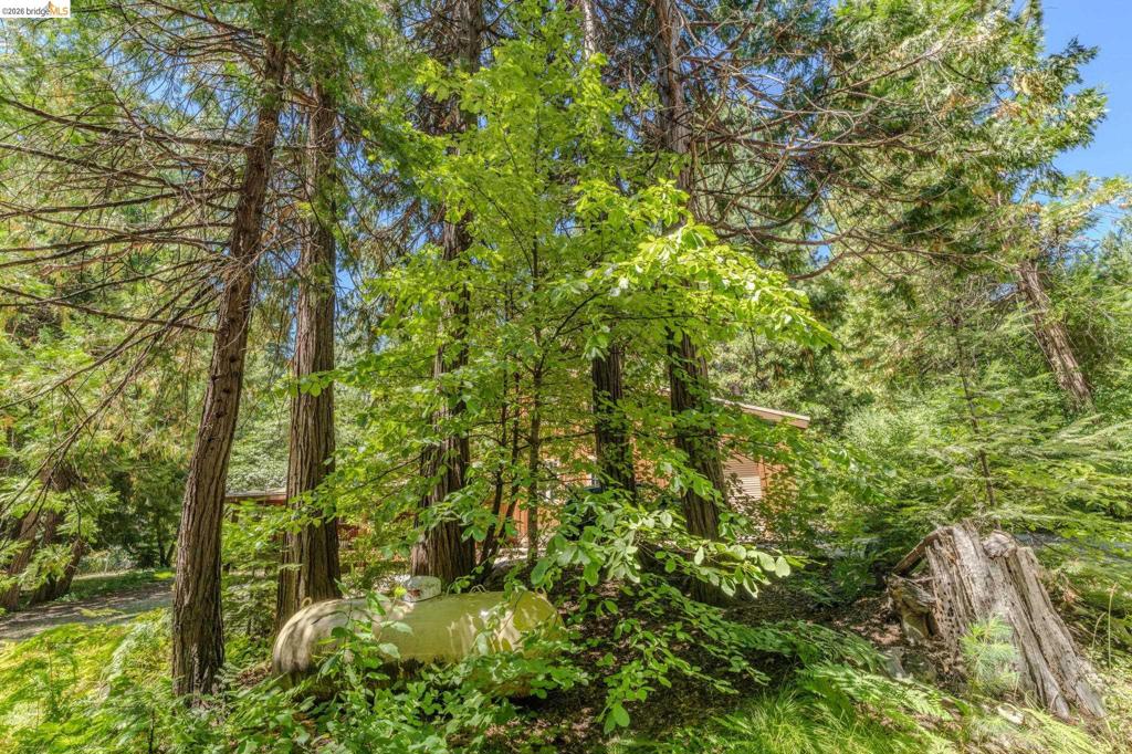 2495 Hangtree Trail Property Photo 52