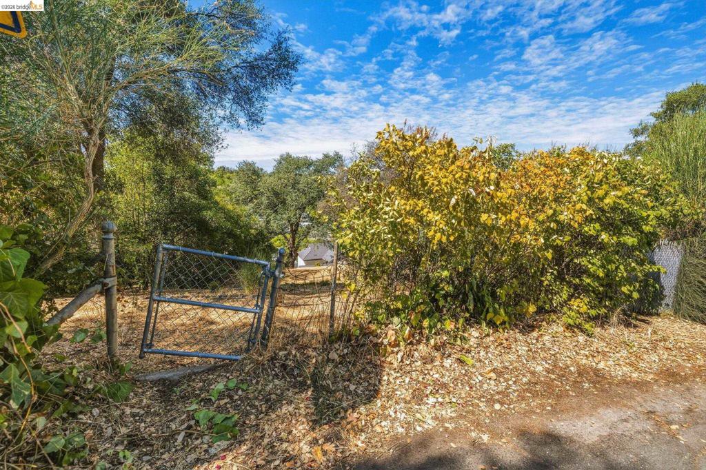 Barretta Street Property Photo 4