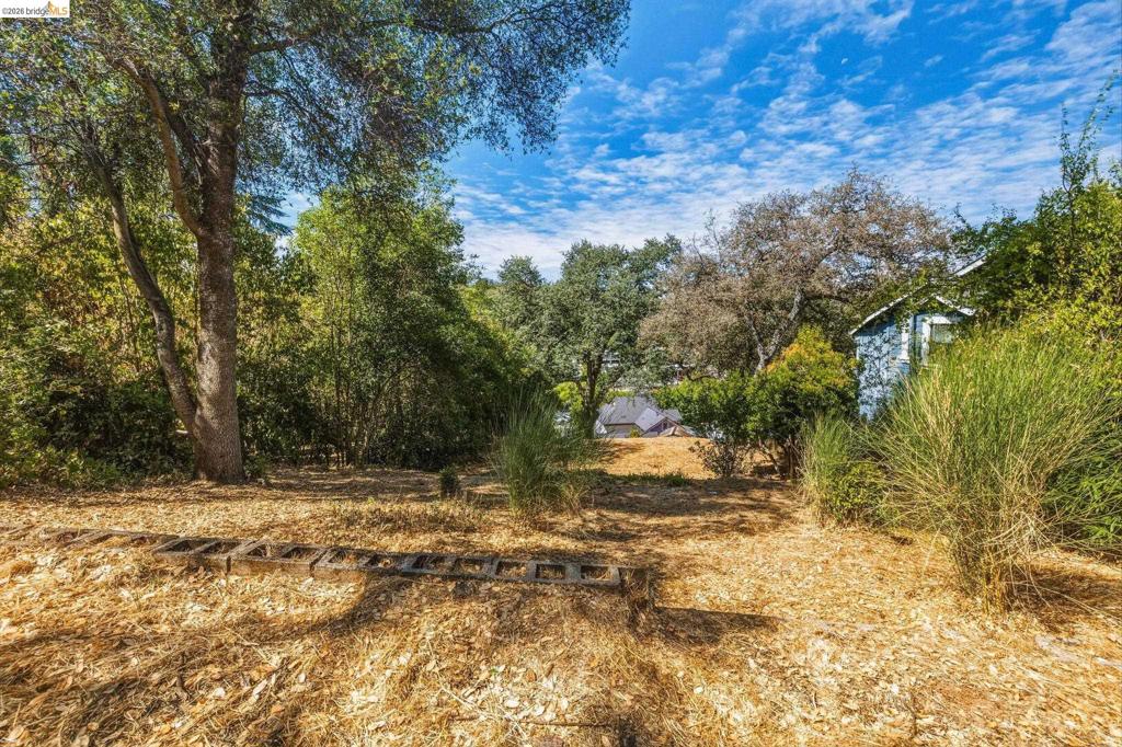 Barretta Street Property Photo 5