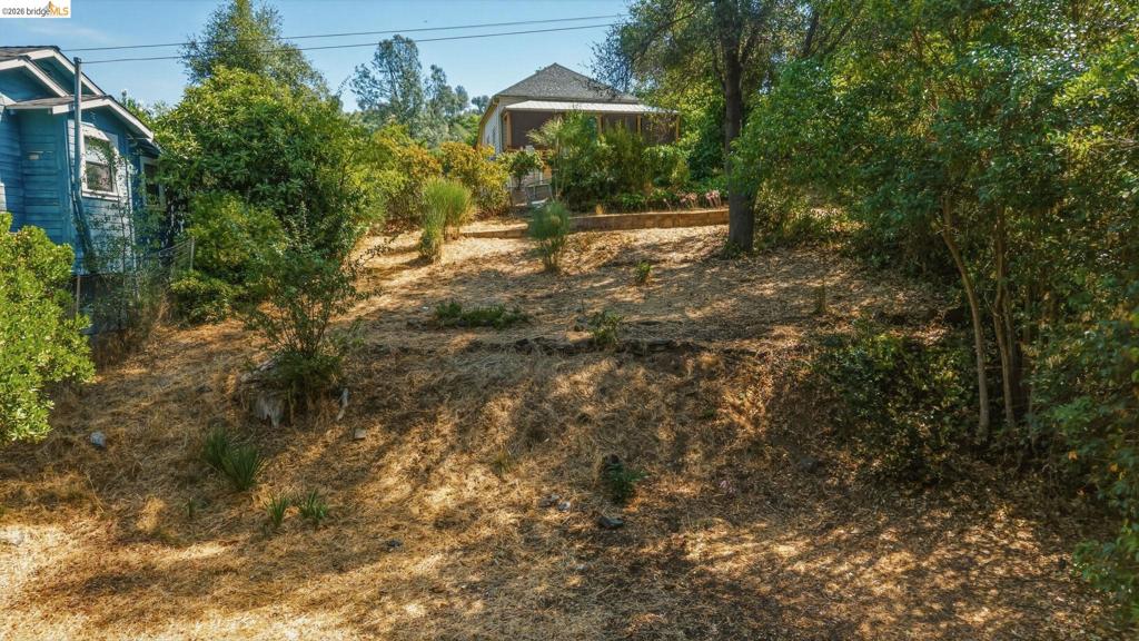 Barretta Street Property Photo 16