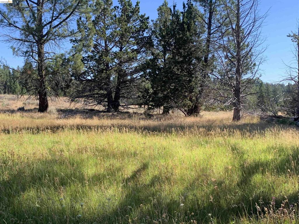 41147231 Property Photo 1