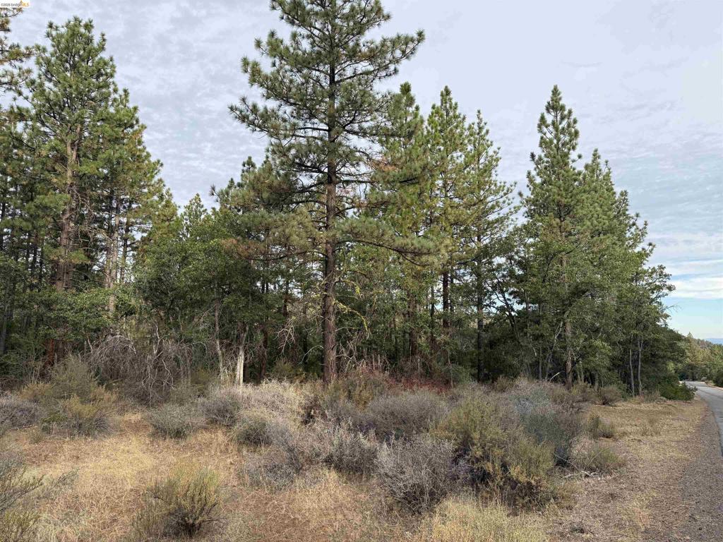 00000 Little Vallley Property Photo 1