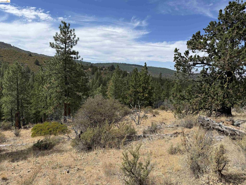 00000 North Twin Property Photo 1
