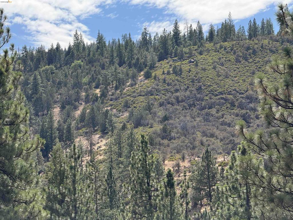 00000 North Twin Property Photo 2