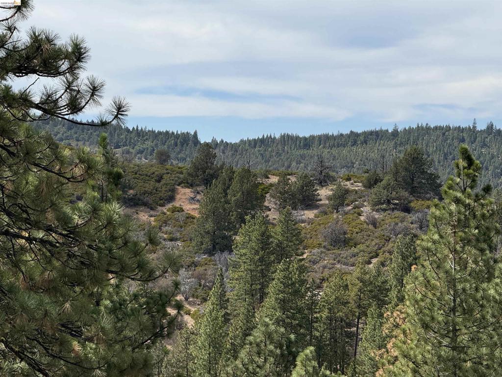 00000 North Twin Property Photo 3