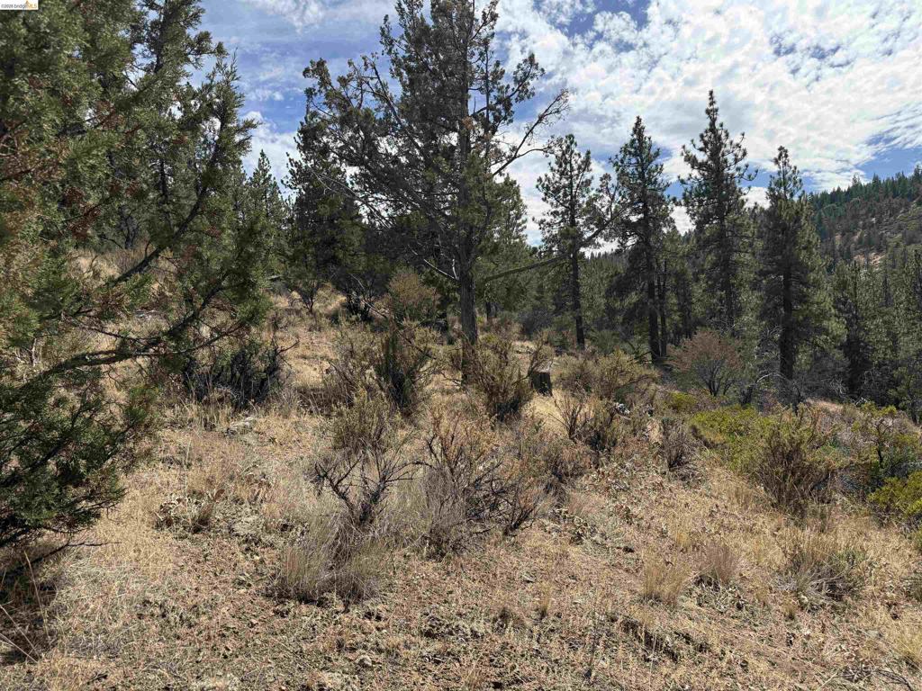 00000 North Twin Property Photo 4