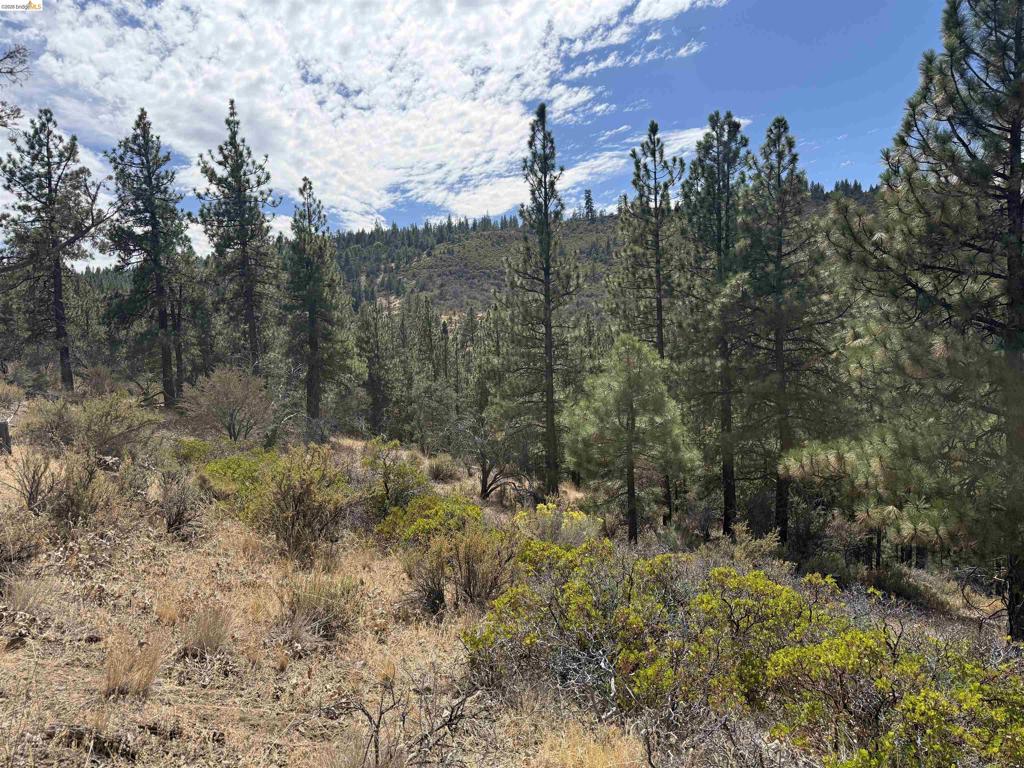 00000 North Twin Property Photo 6