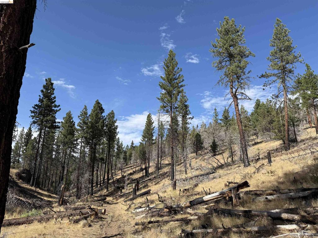 00000 Butte Creek Rd Property Photo 1
