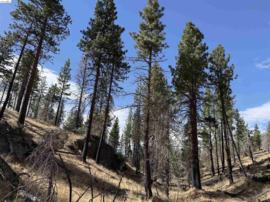 00000 Butte Creek Rd Property Photo 2