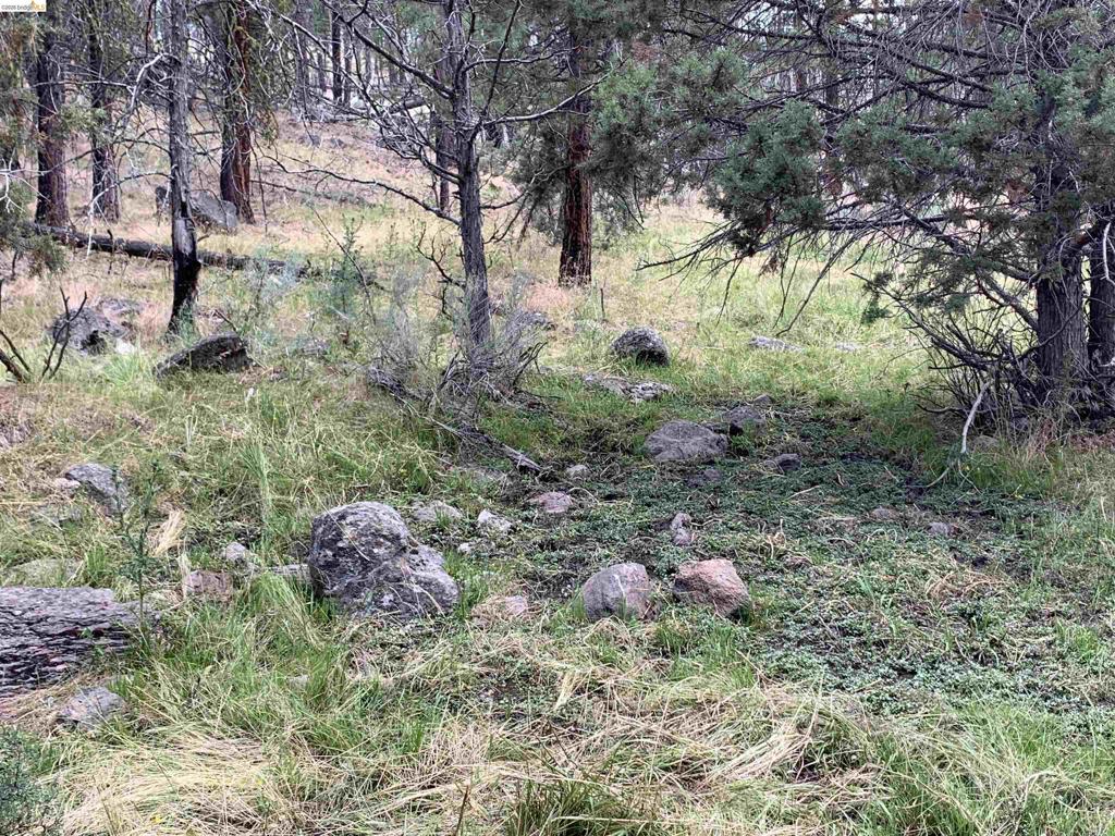 00000 Butte Creek Rd Property Photo 3