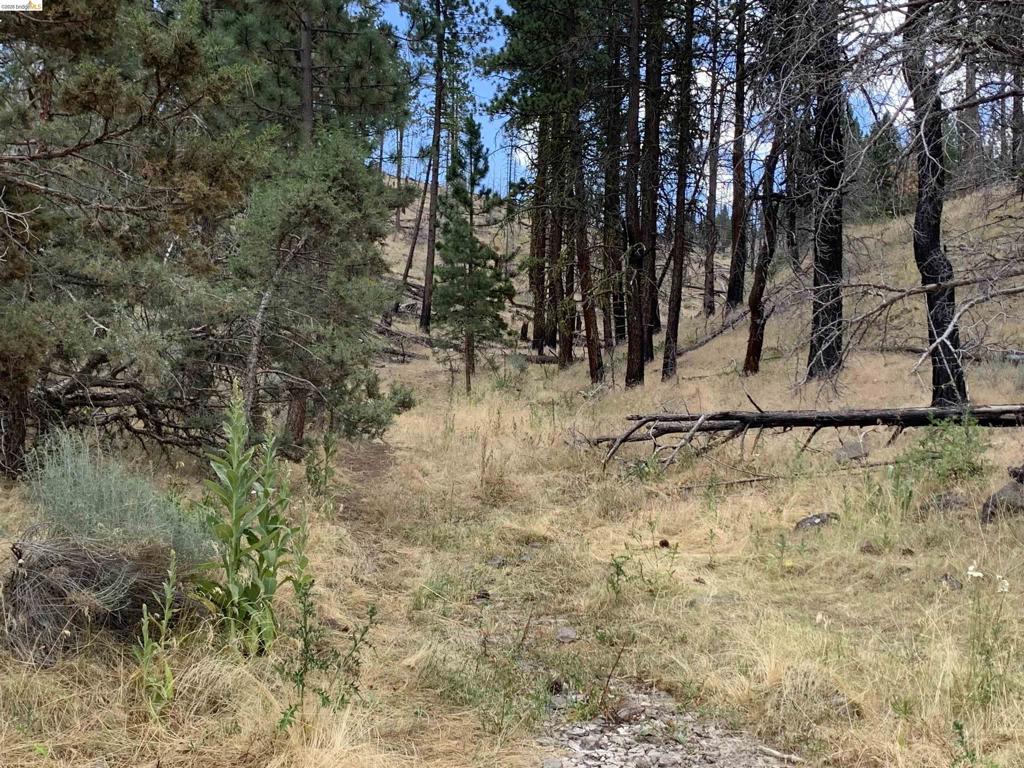 00000 Butte Creek Rd Property Photo 4