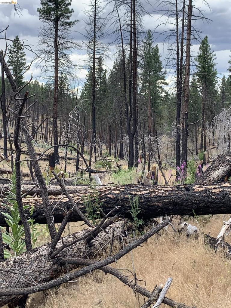 00000 Butte Creek Rd Property Photo 6
