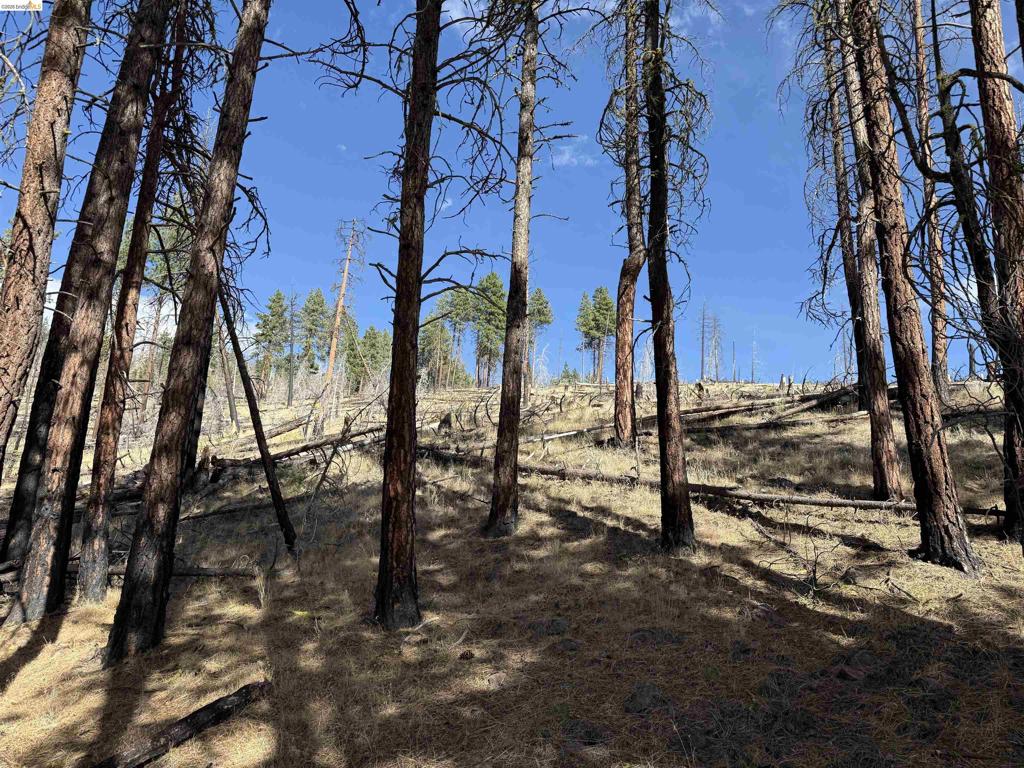 00000 Butte Creek Rd Property Photo 9