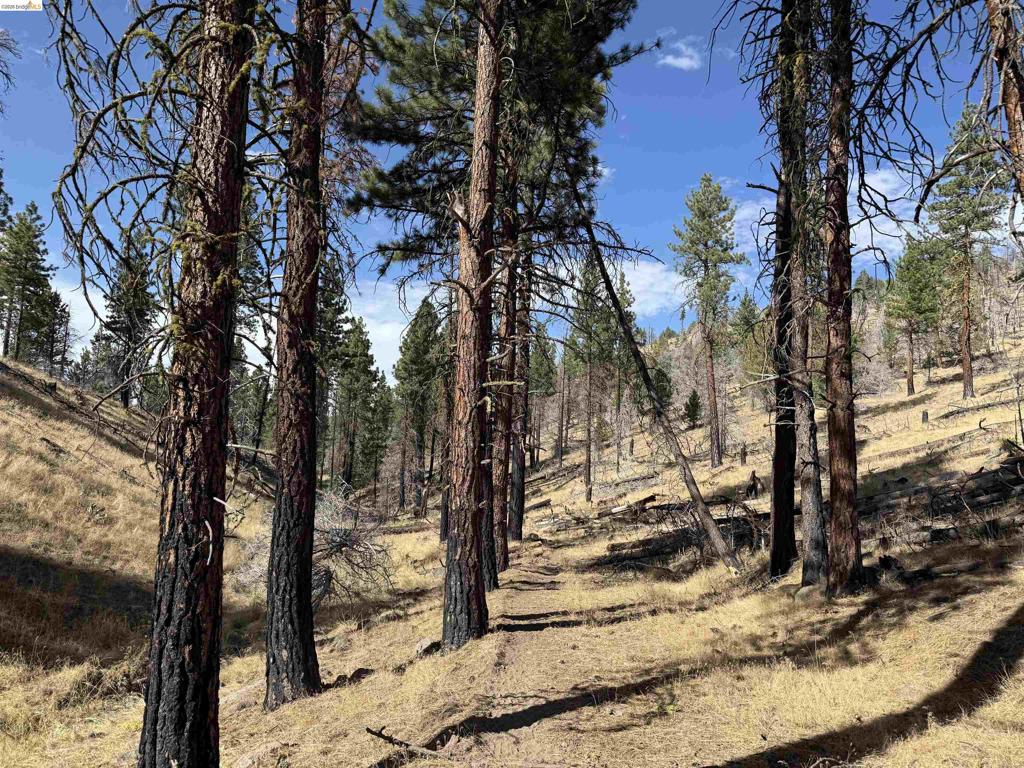 00000 Butte Creek Rd Property Photo 10
