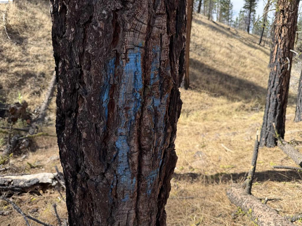 00000 Butte Creek Rd Property Photo 11