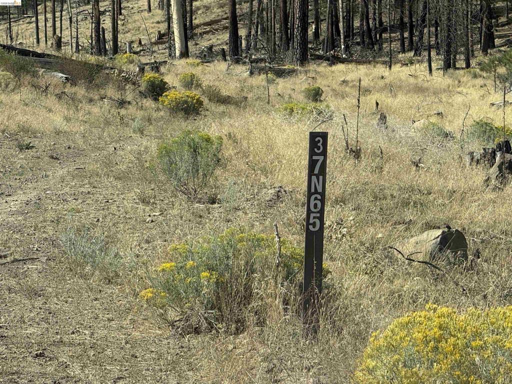 00000 Butte Creek Rd Property Photo 13