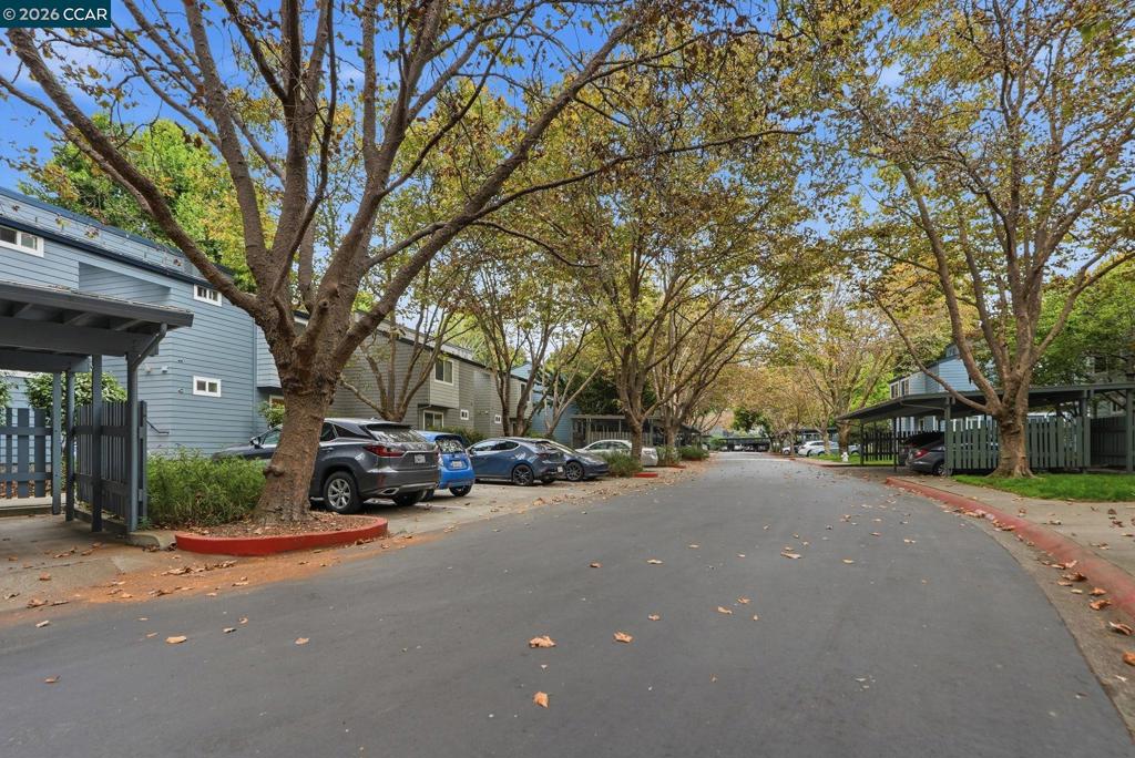42 Emery Bay Dr Property Photo 37