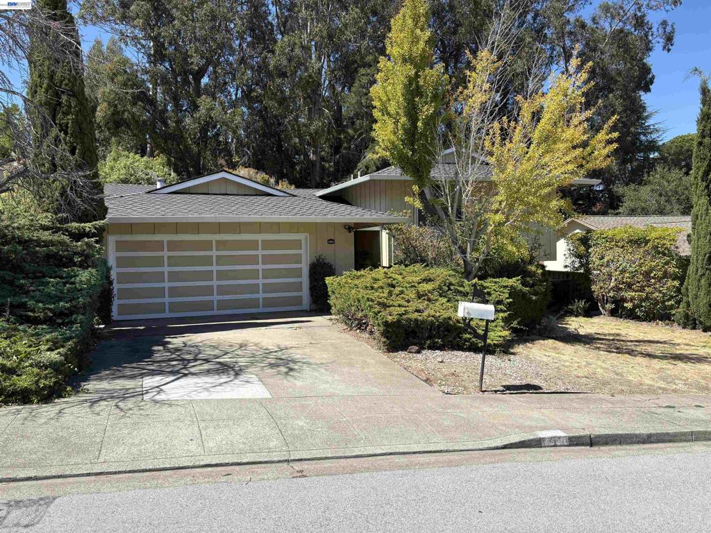 1350 Murchison Dr Property Photo 2